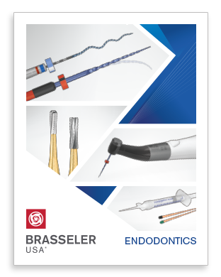 Brasseler USA Endodontic Guide