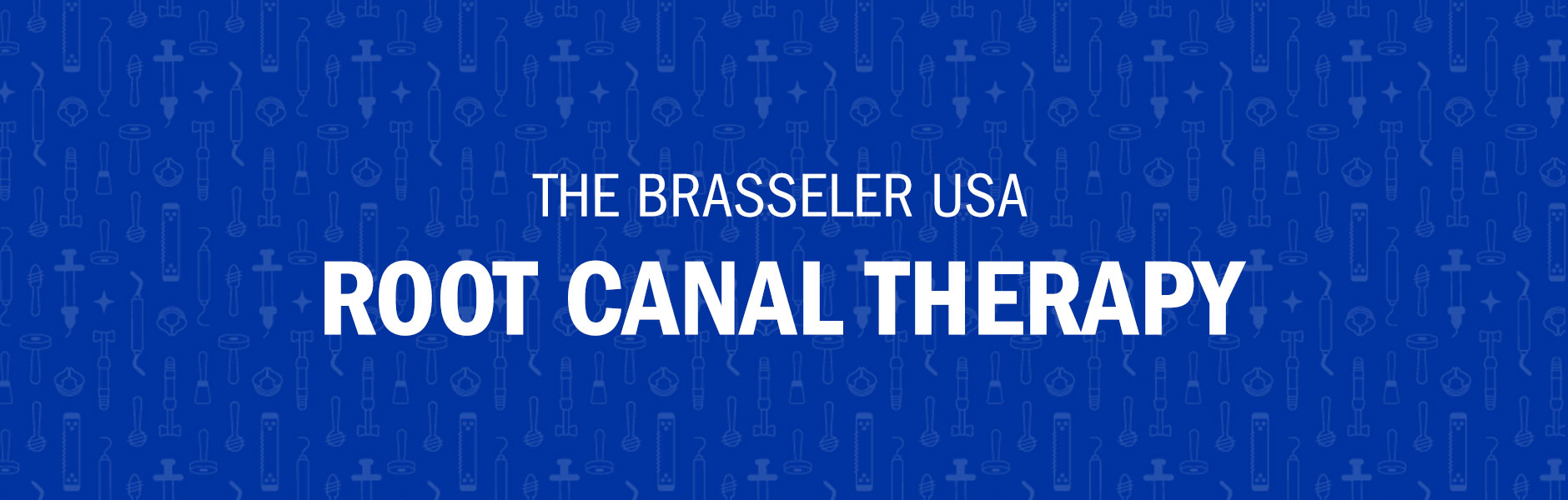 The Brasseler USA Root Canal Therapy