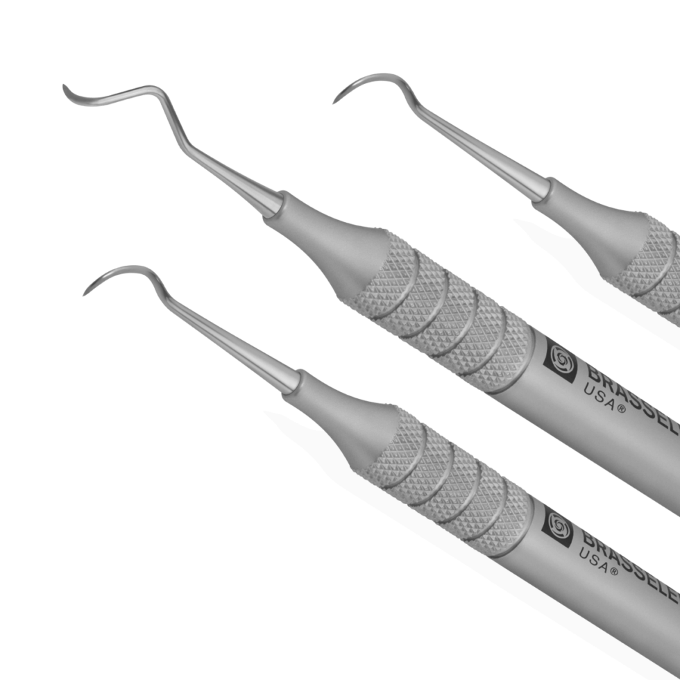 Hand Instrument Promotion Brasseler USA Dental