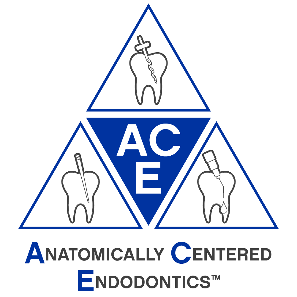 ACE - Anatomically Centered Endodontics by Brasseler USA